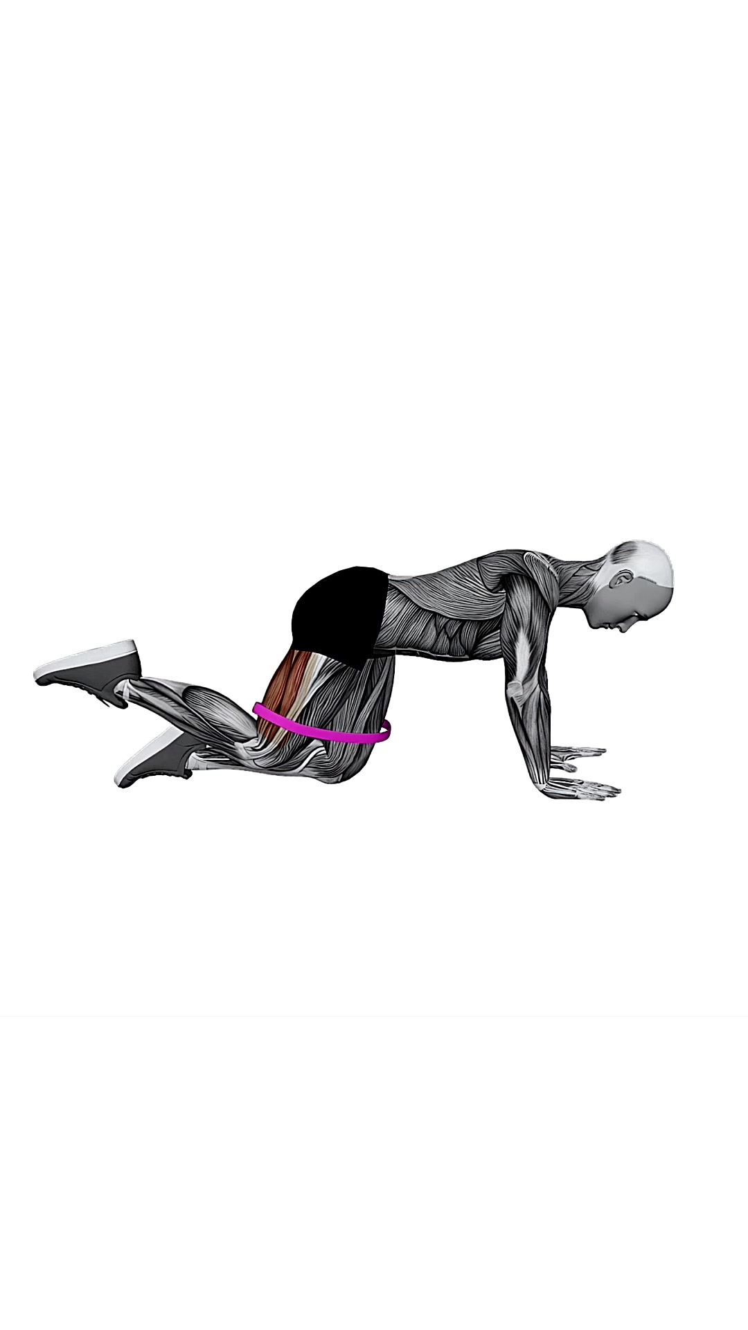 Resistance Band Bent Leg Kickback (kneeling)