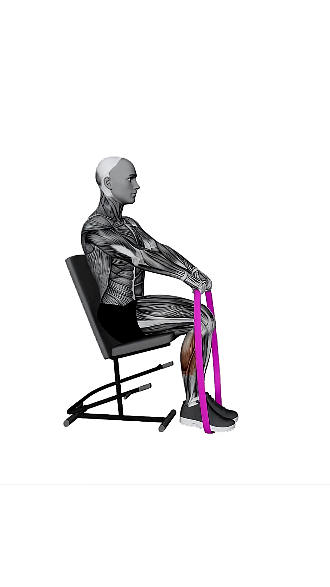 Resistance Band Calf Press Sitting On Chair