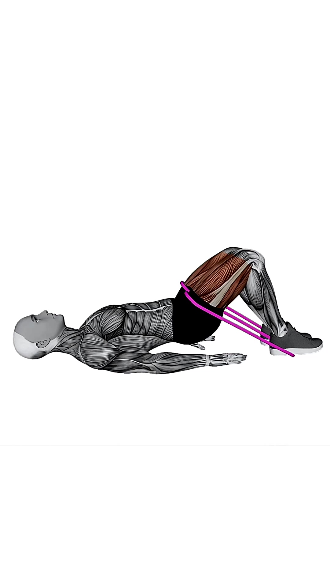 Resistance Band Hip Thrust (version 2)