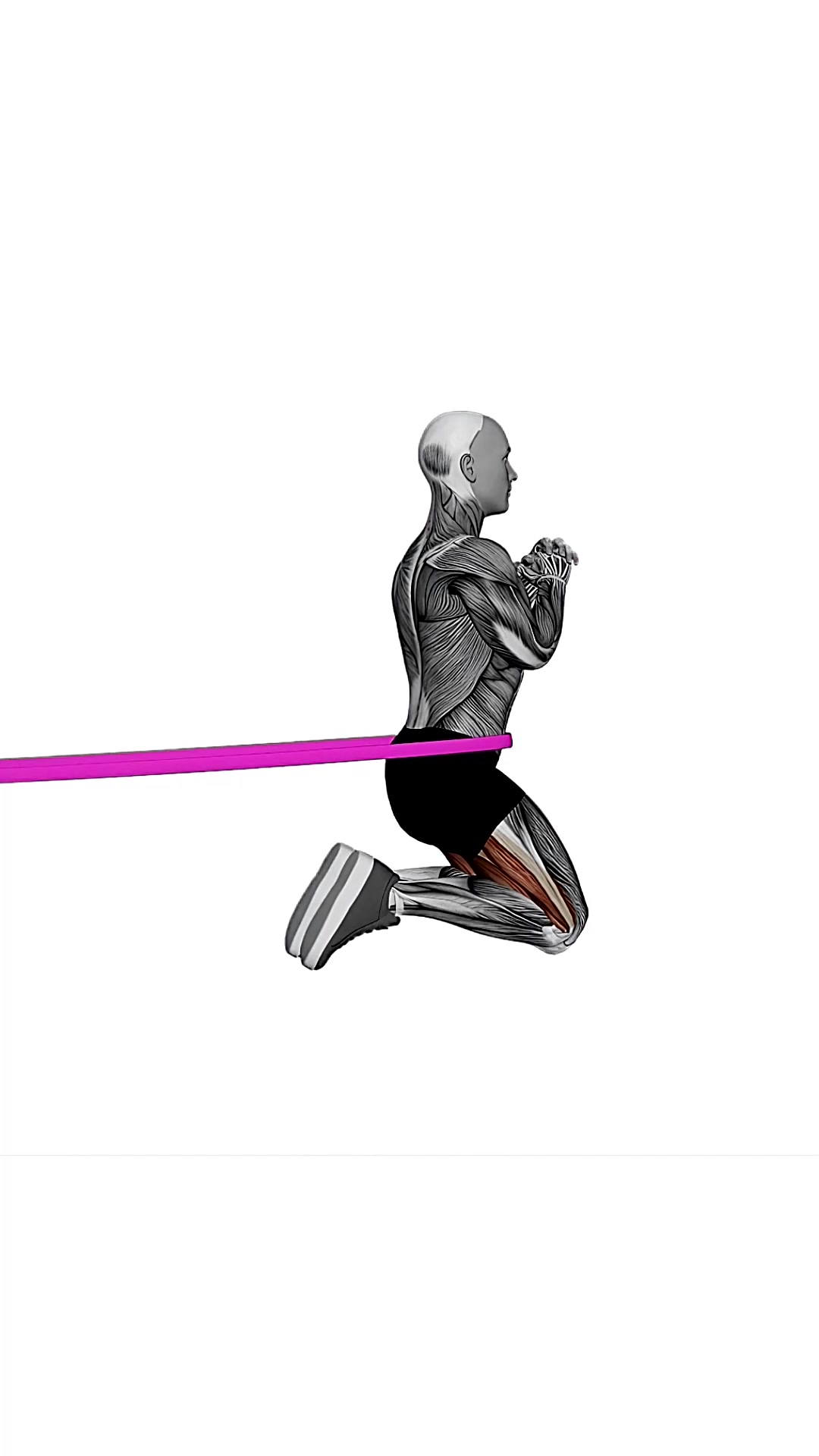 Resistance Band Hip Thrusts On Knees
