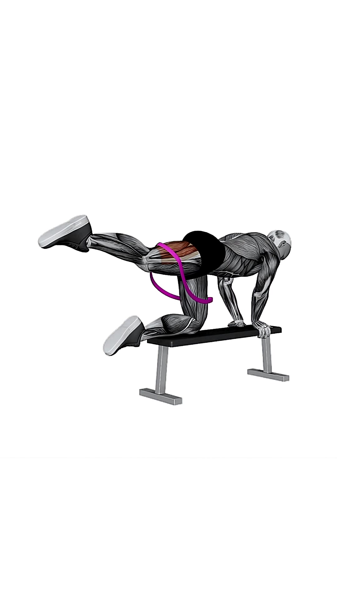 Resistance Band Kneeling Leg Half Circle On Bench
