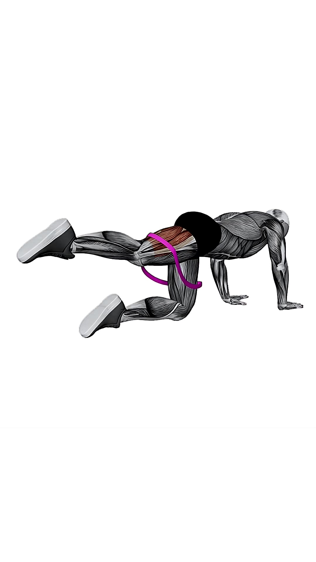 Resistance Band Kneeling Leg Half Circle