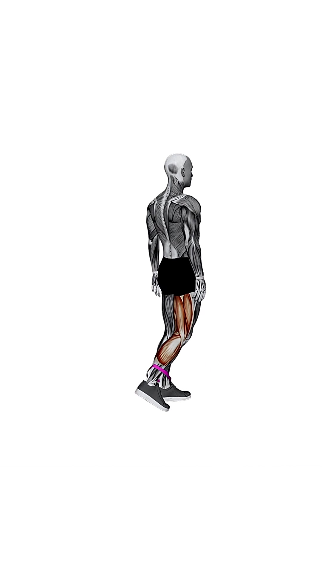 Resistance Band Leg Curl