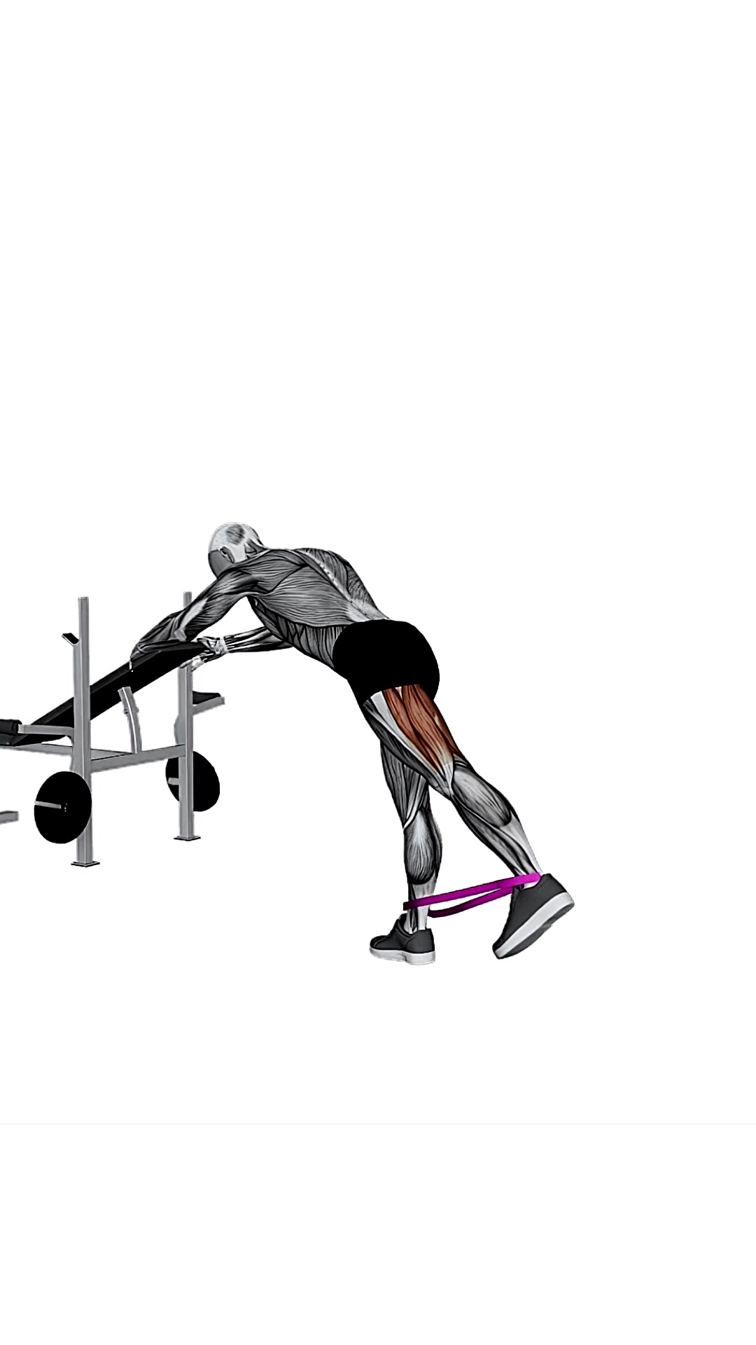 Resistance Band One Leg Kickback (bent Position)