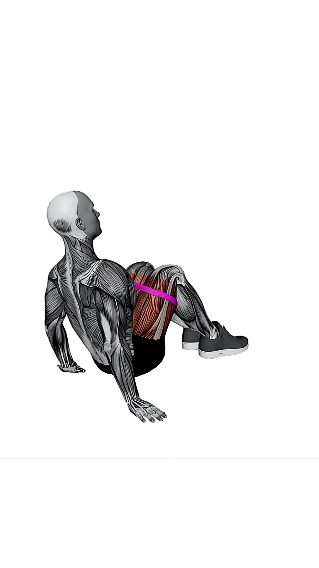 Resistance Band Seated Bent Knee Abduction