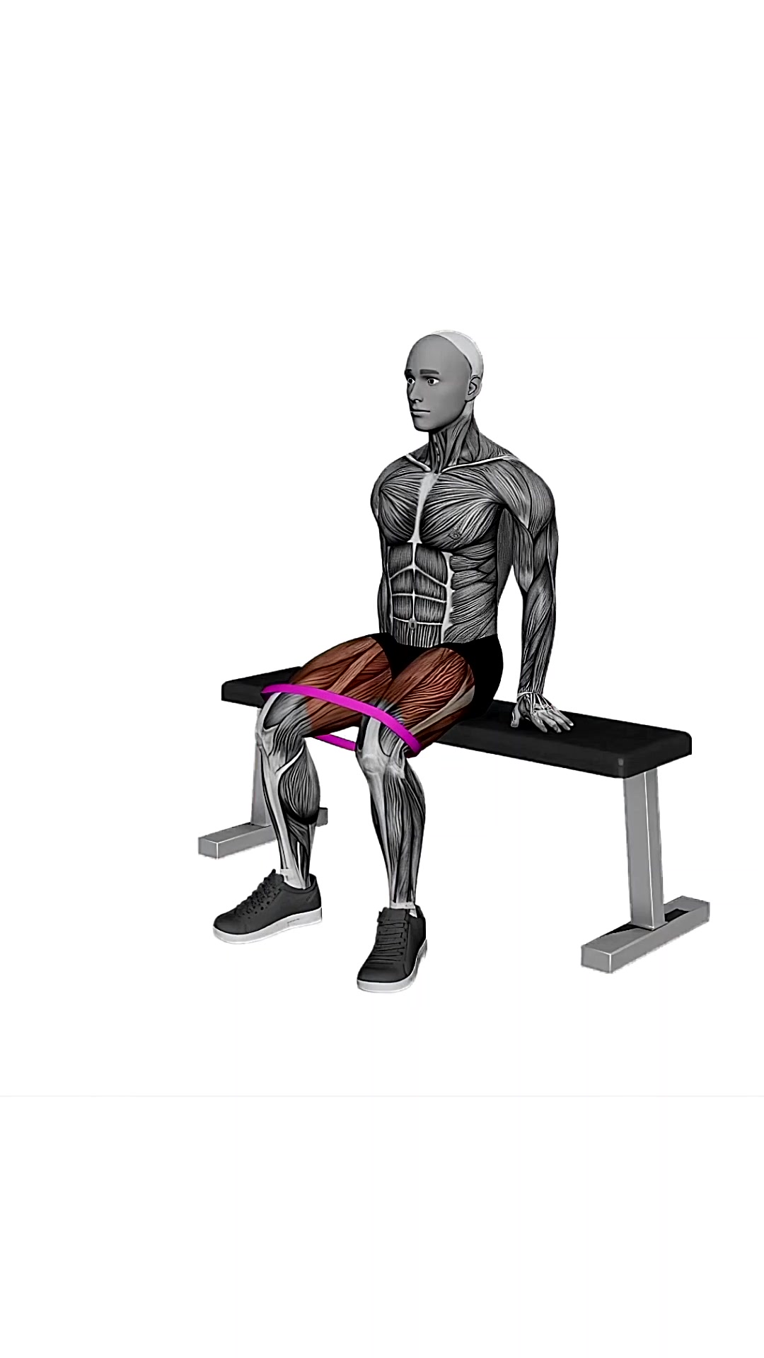 Resistance Band Seated Hip Abduction