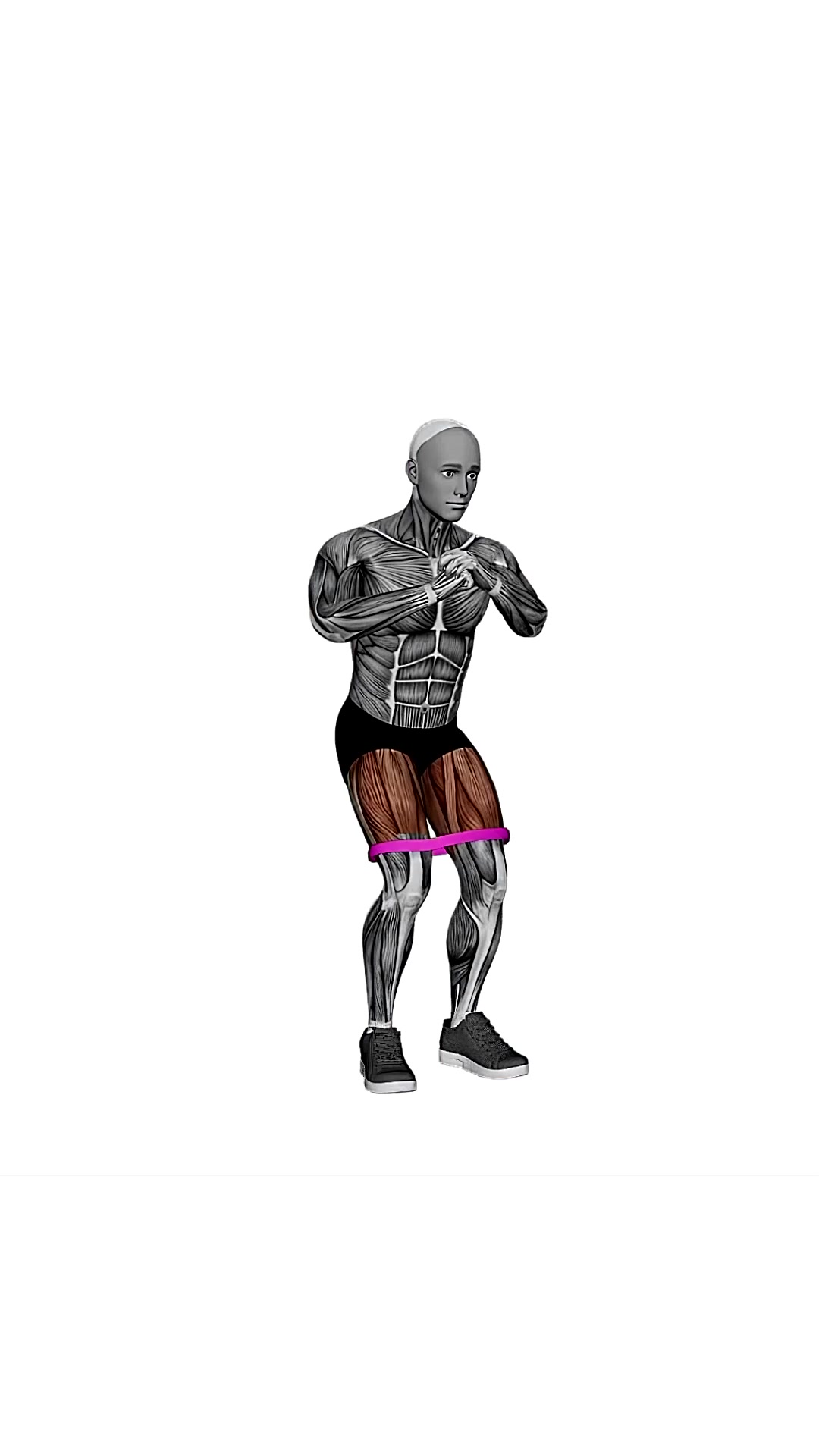 Resistance Band Squat