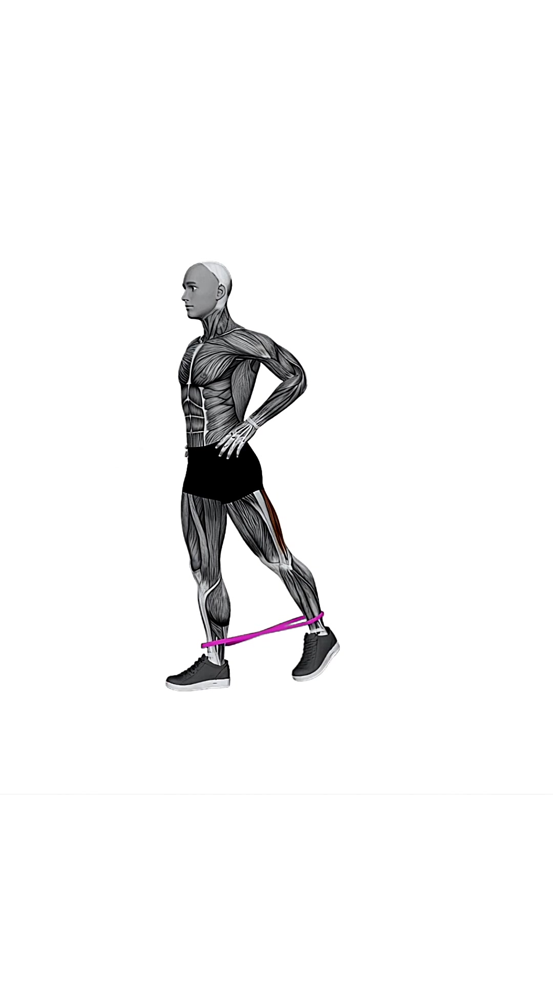 Resistance Band Standing Balance Glute Kickback