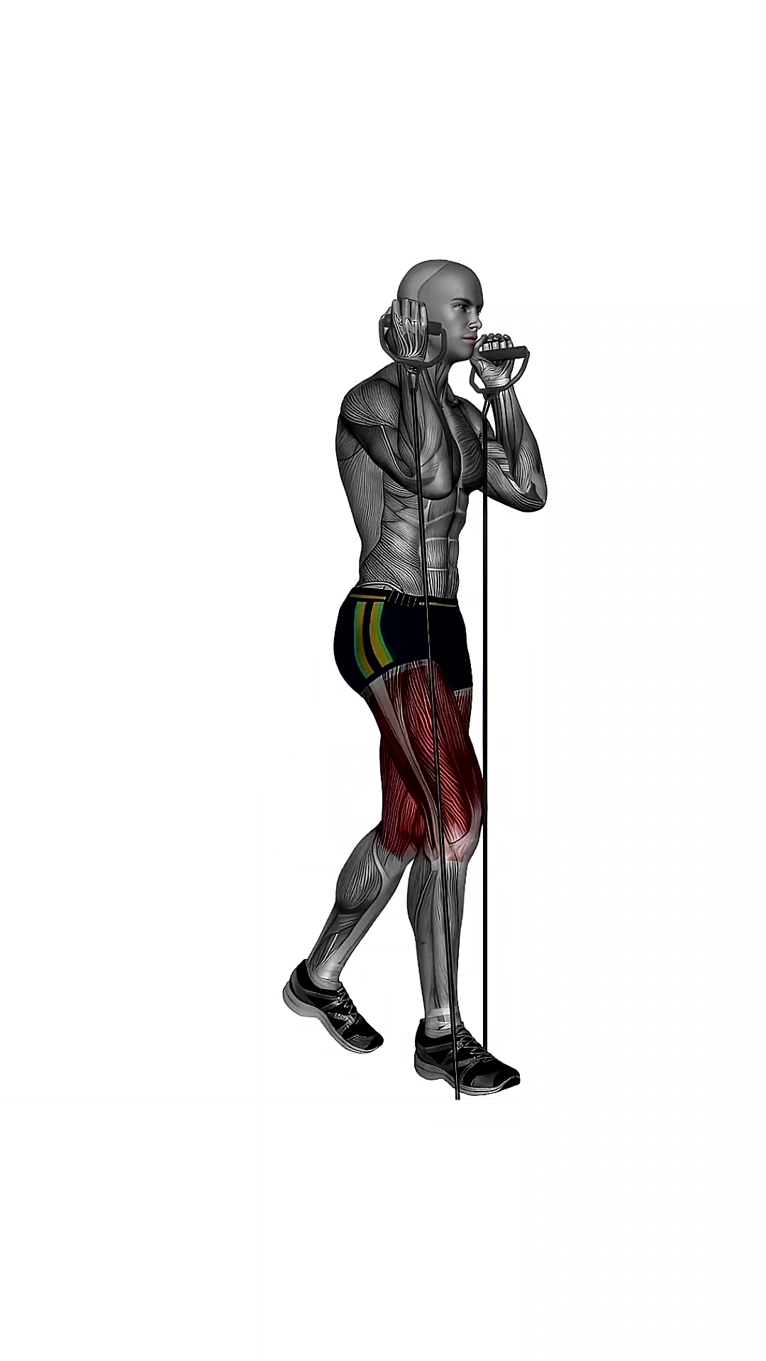 Reverse Lunge Left Resistance Band