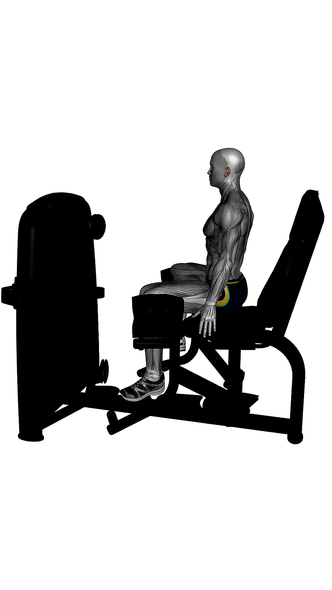 Seated Hip Abductor Machine