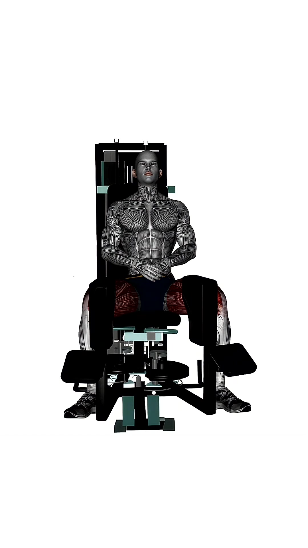 Seated Machine Hip Adductor