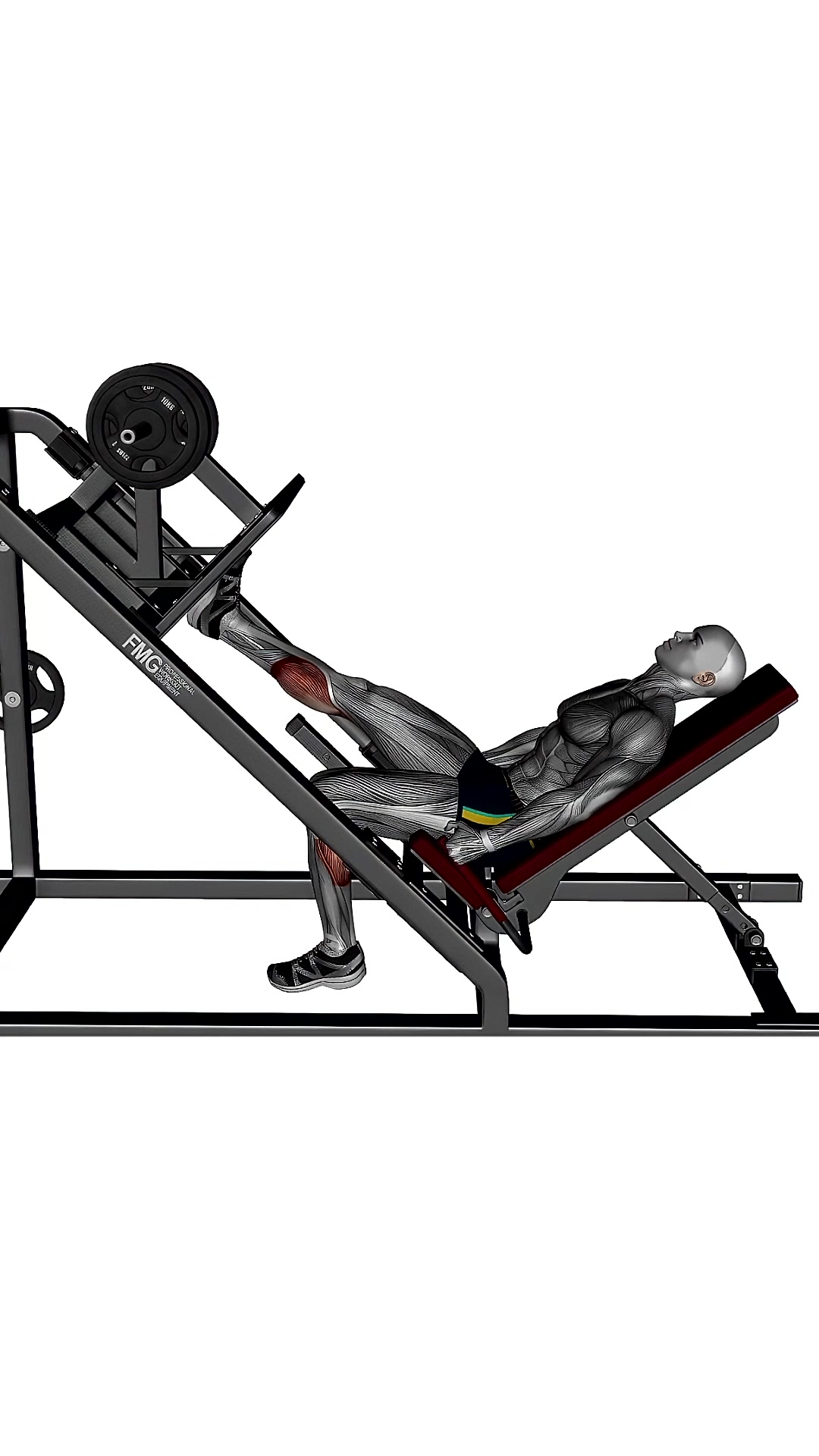 Single Leg Calf Raise Leg Press Machine