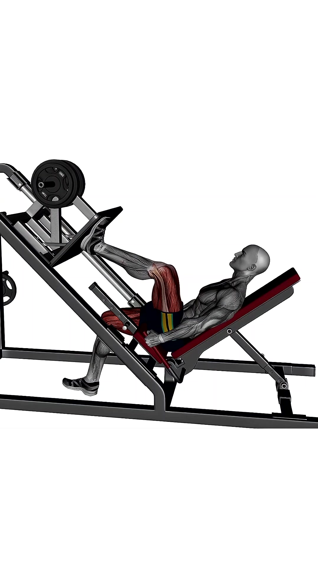 Single Leg Incline 45 Degree Leg Press Machine