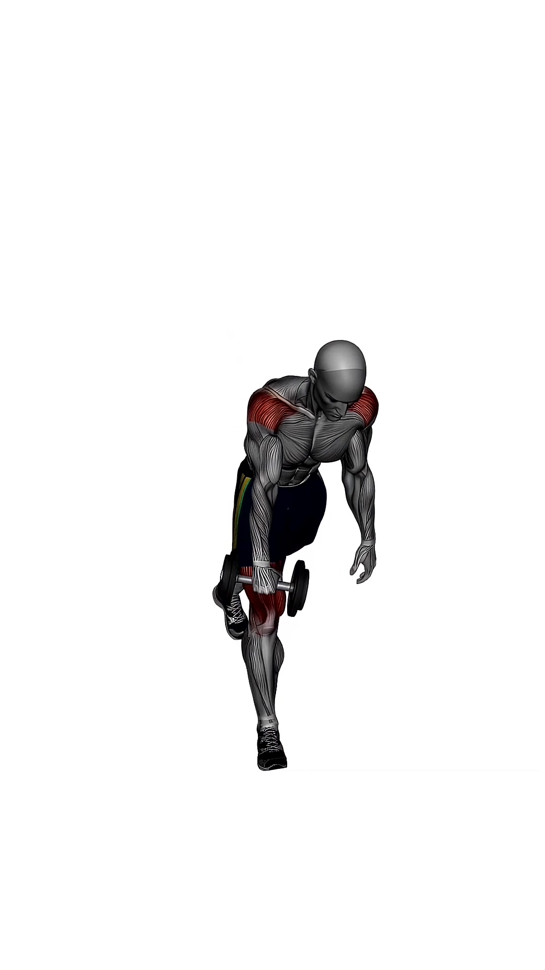 Single Leg Romanian Deadlift Dumbbell