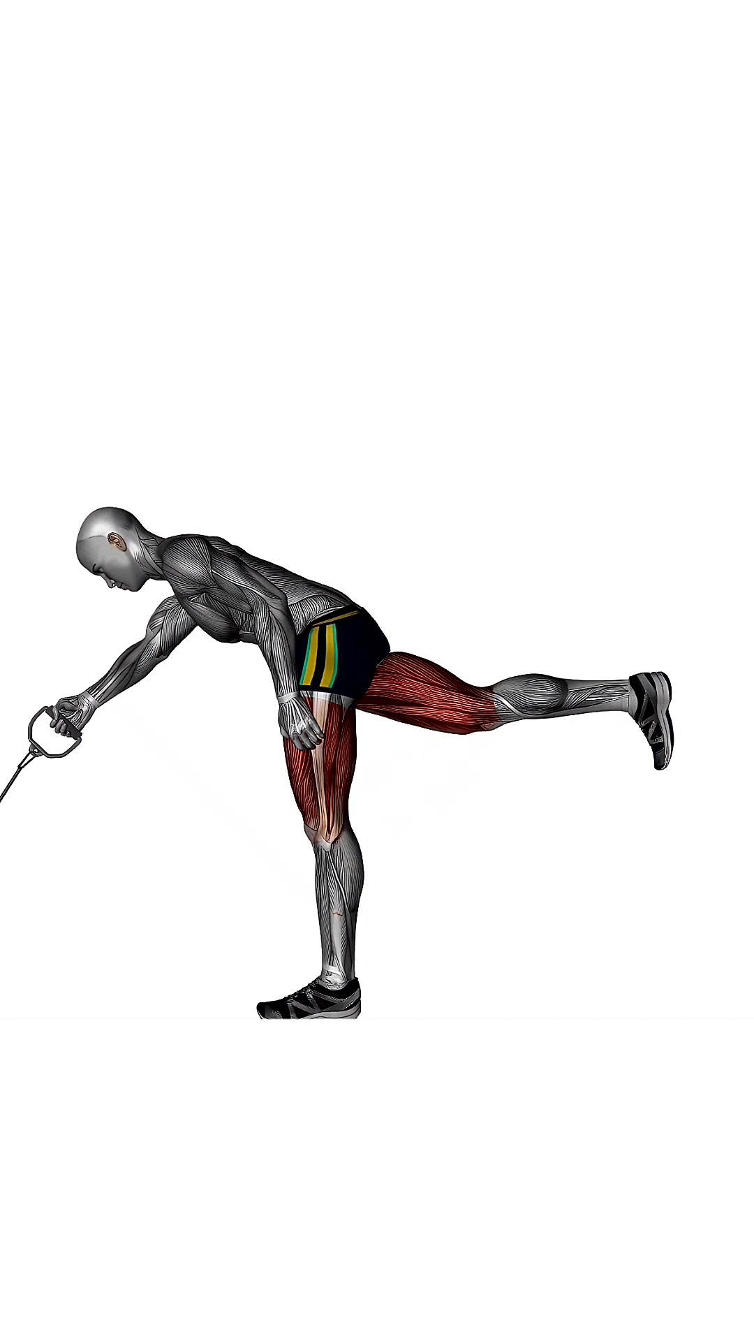 Single Leg Romanian Deadlifts Right Cable Resistance Band