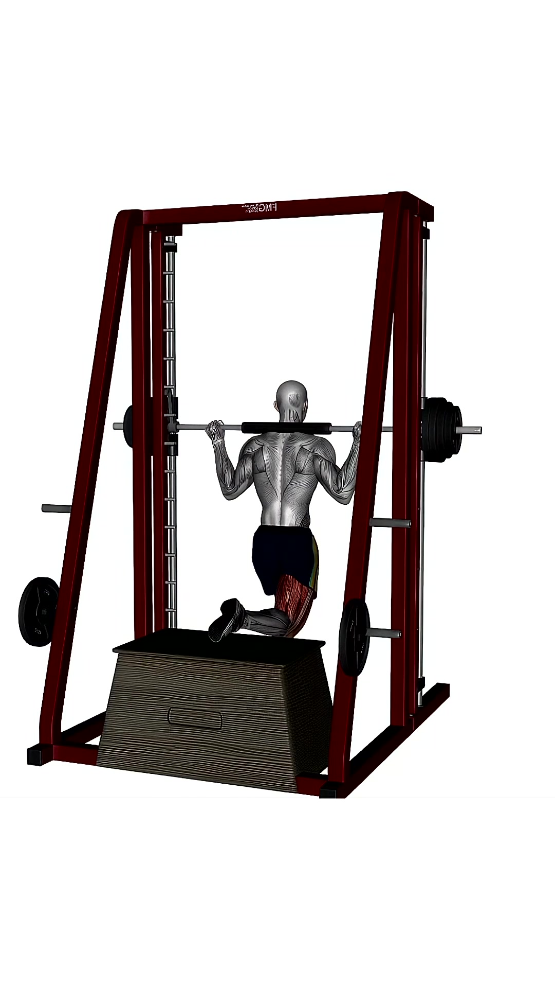 Smith Machine Bulgarian Split Squat