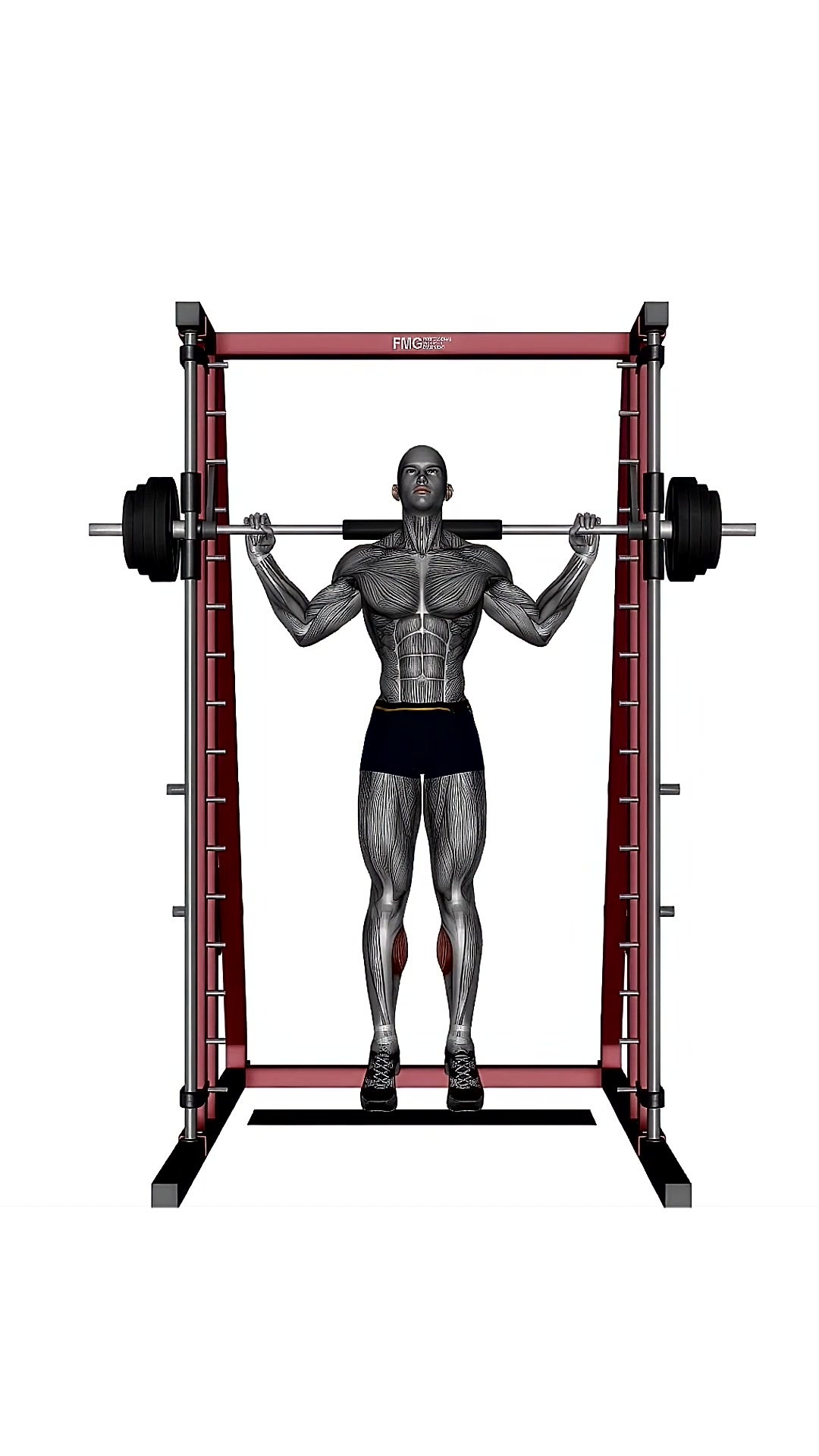 Smith Machine Calf Raise