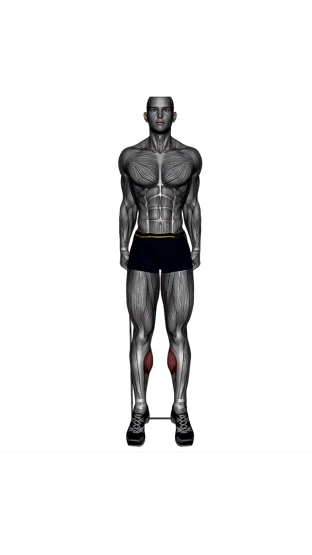 Standing Calf Raise Resistance Band