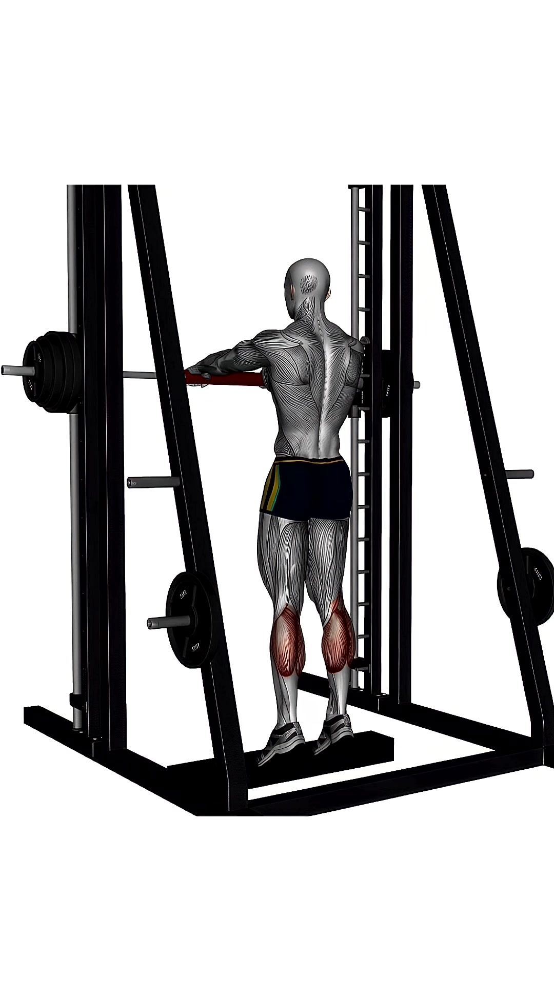 Standing Calf Raises Smith Machine