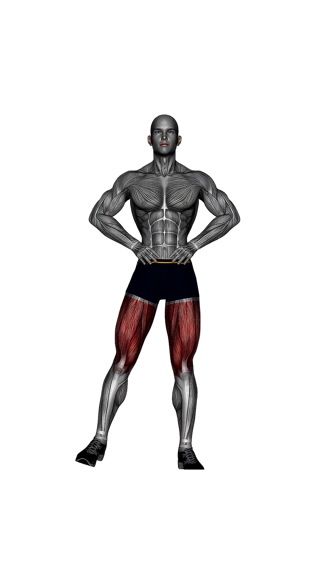 Standing Side Leg Raises