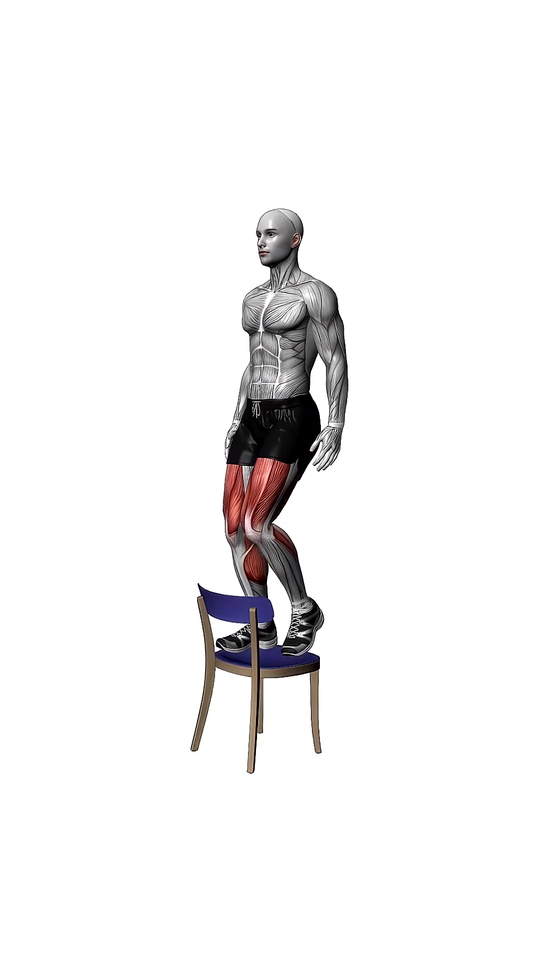 Step Up On Chair Bodyweight