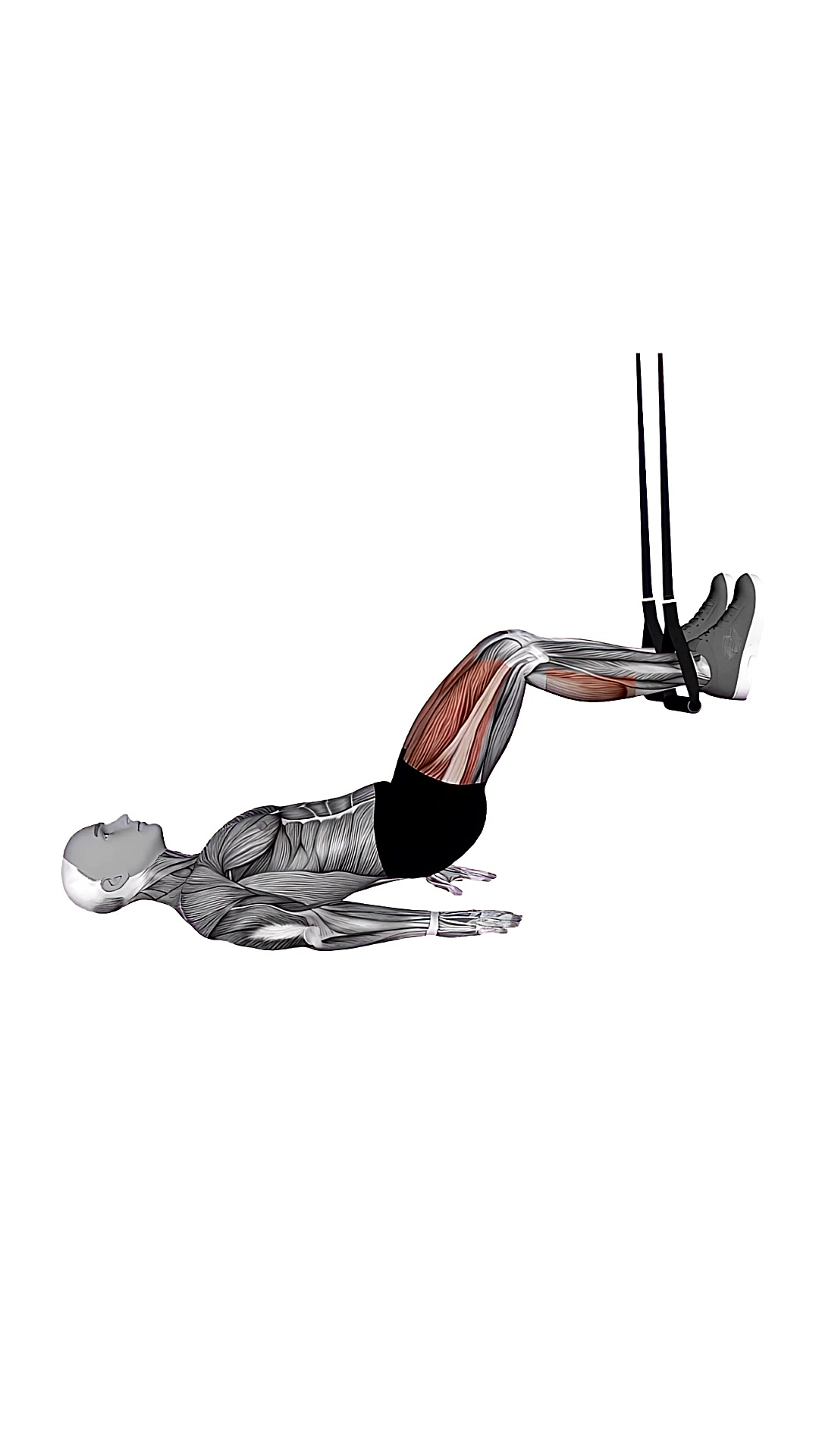 Suspension Trainer With Grips Hip Bridge
