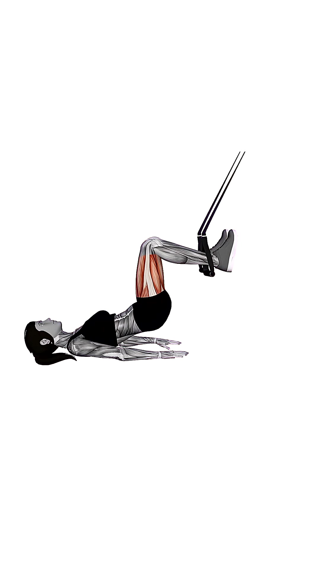 Suspension Trainer With Grips Leg Curl