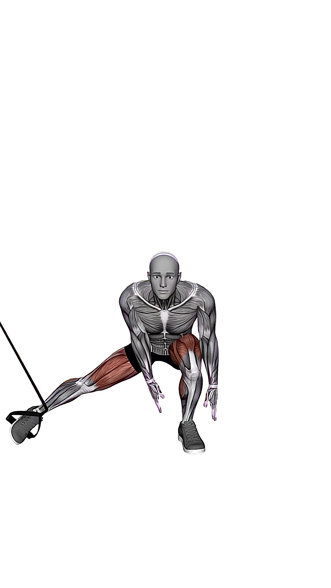 Suspension Trainer With Grips Side Squat
