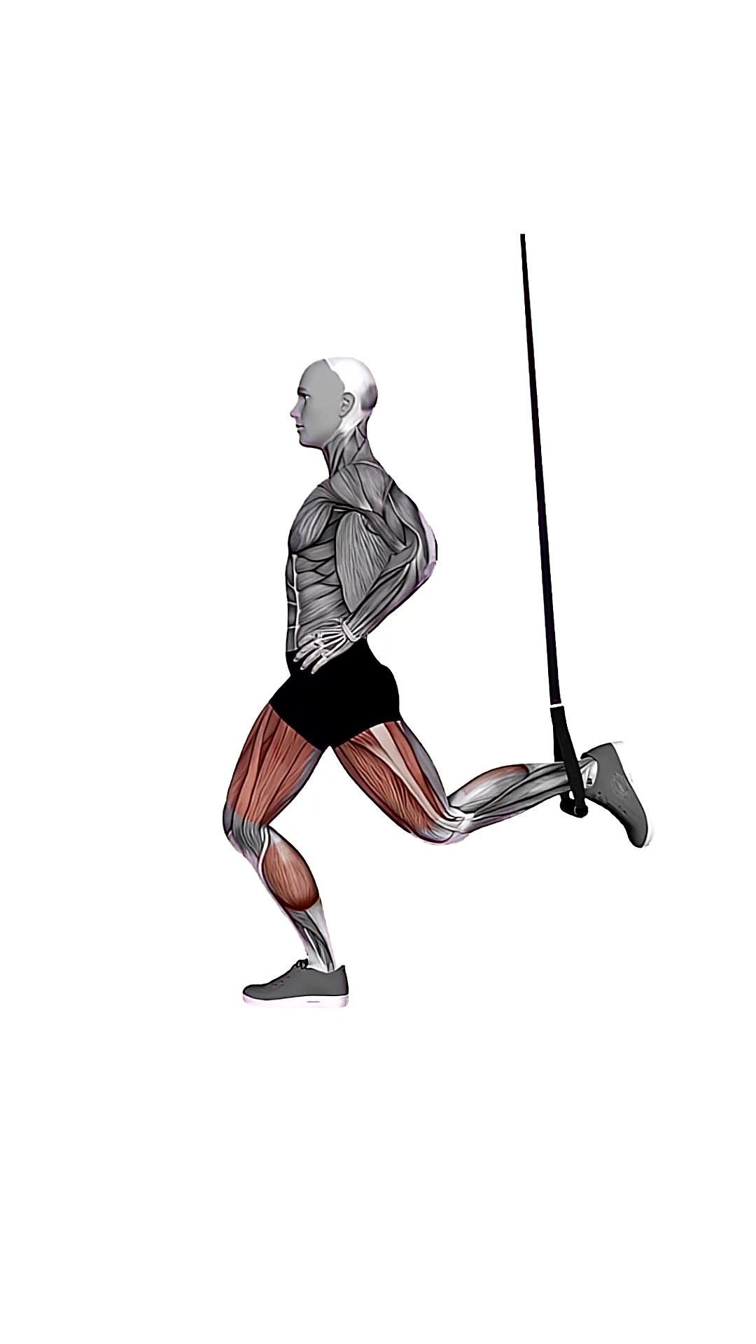 Suspension Trainer With Grips Split Squat