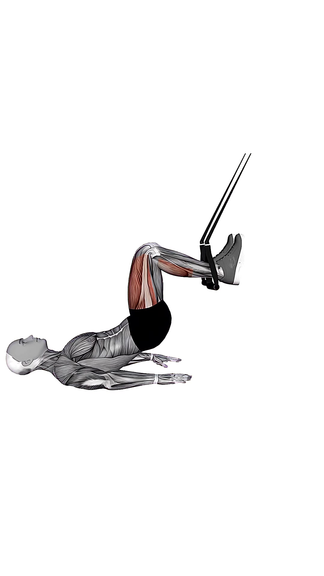 Suspension Trainer With Grips Straight Hip Leg Curl