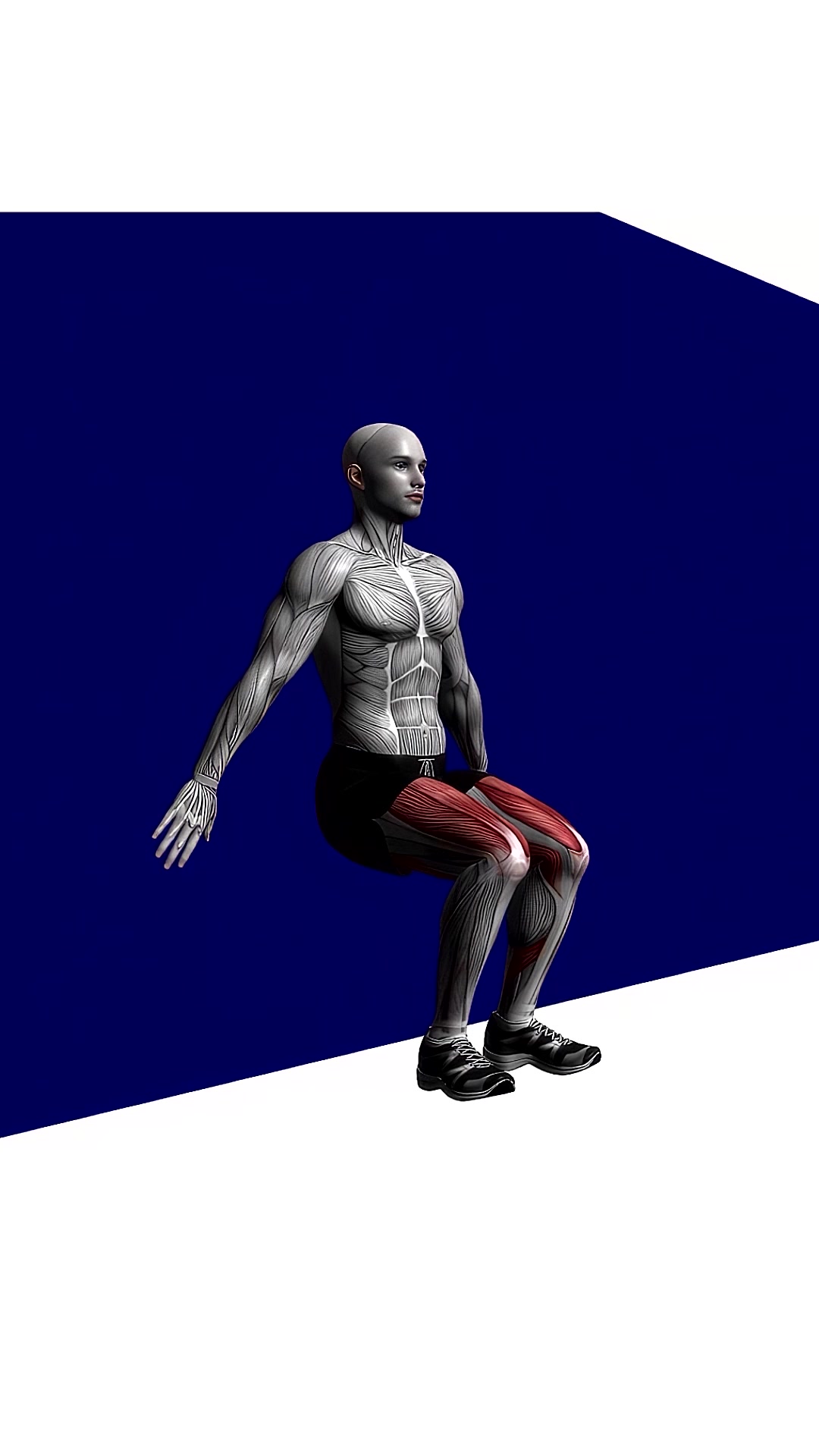 Wall Sit Bodyweight