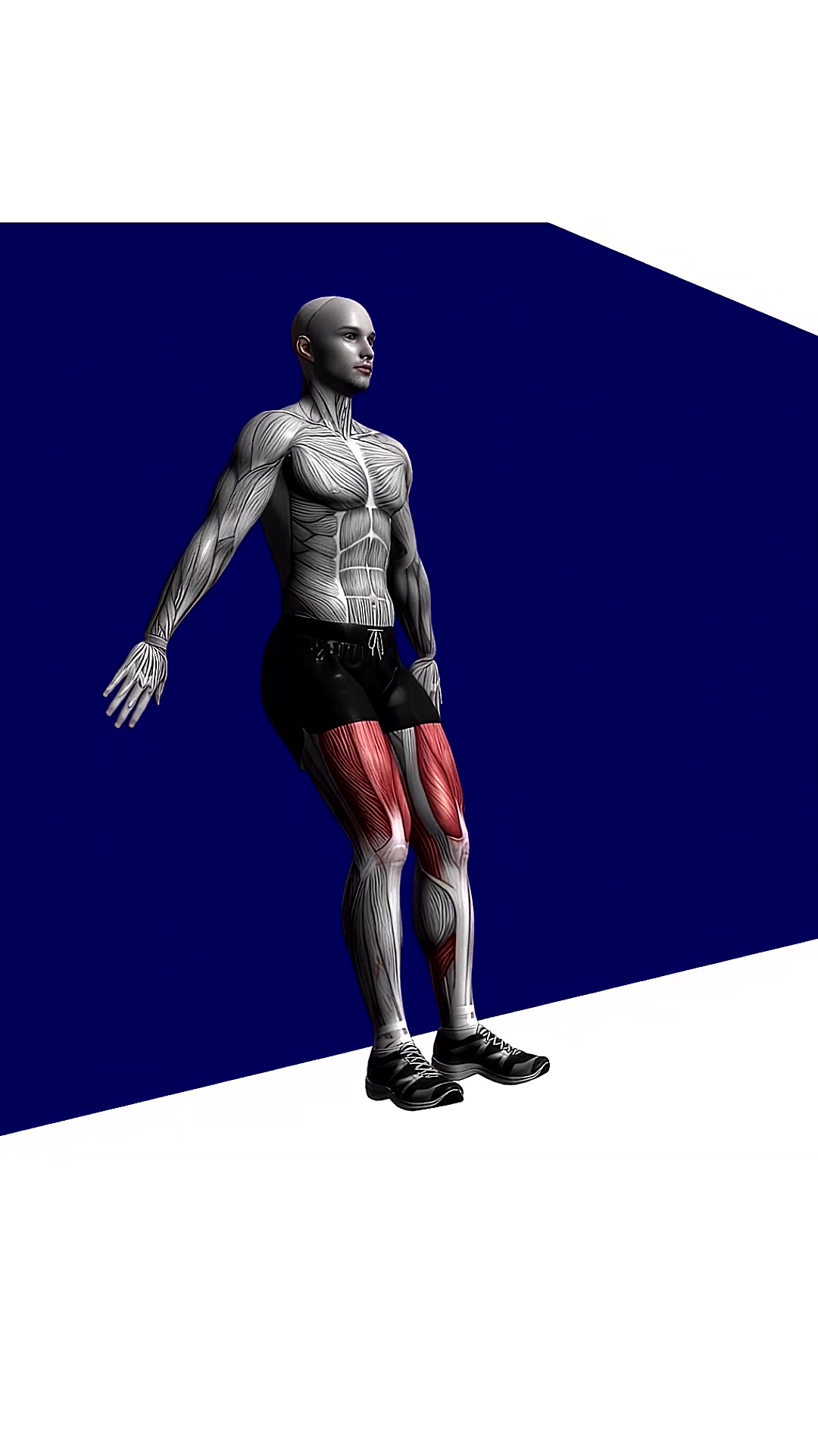 Wall Squat Bodyweight