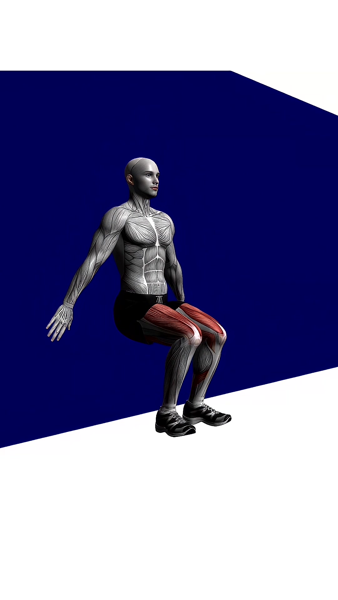 Wall Squat With Pause Bodyweight