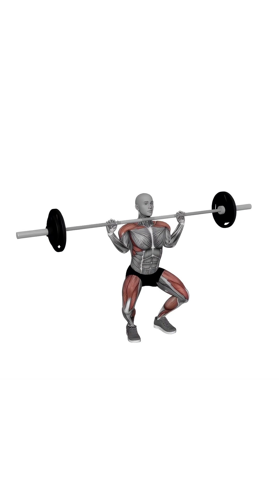 Barbell Clean And Jerk Split Squat