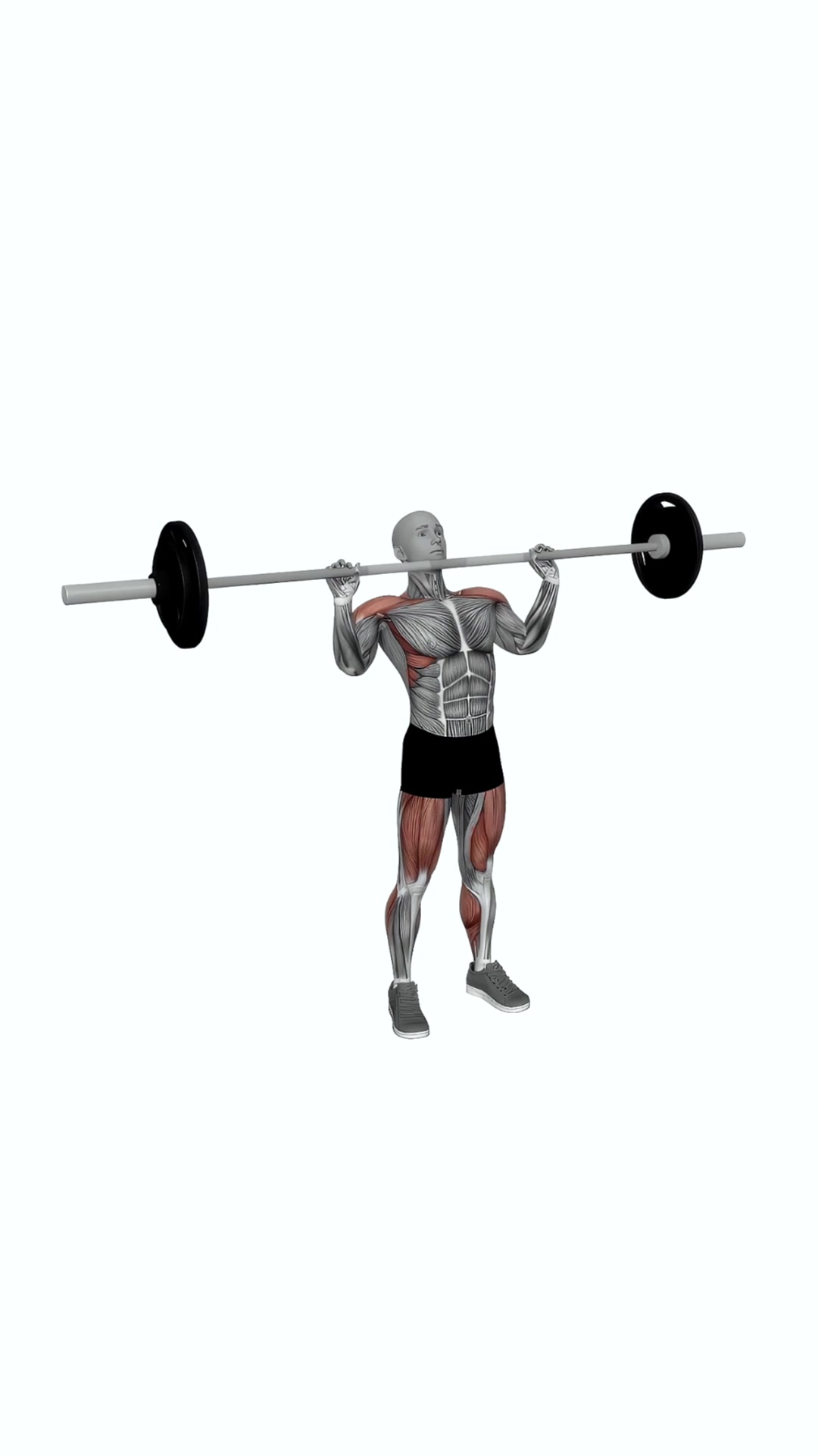 Barbell Clean And Press