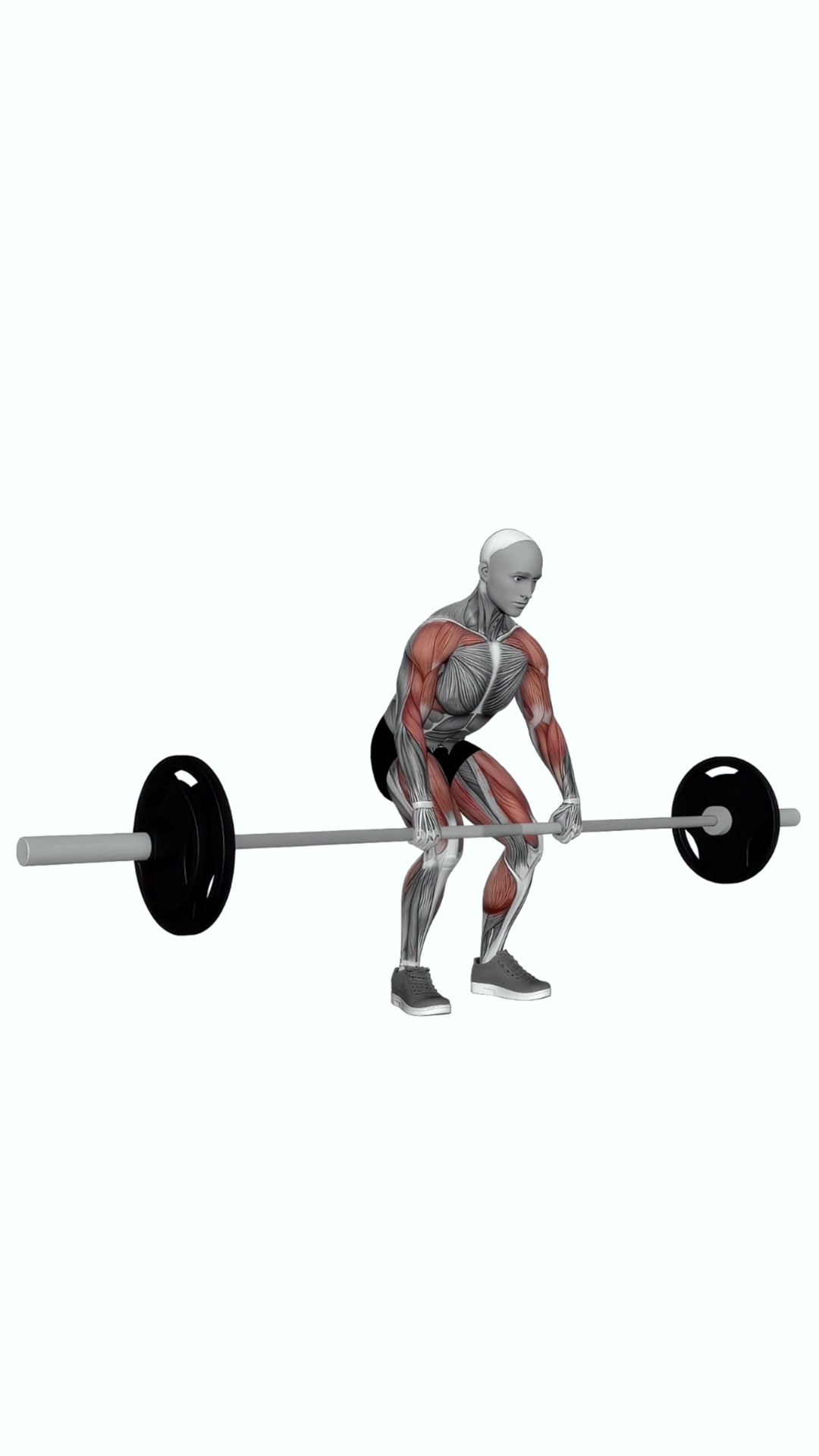 Barbell Clean Pull