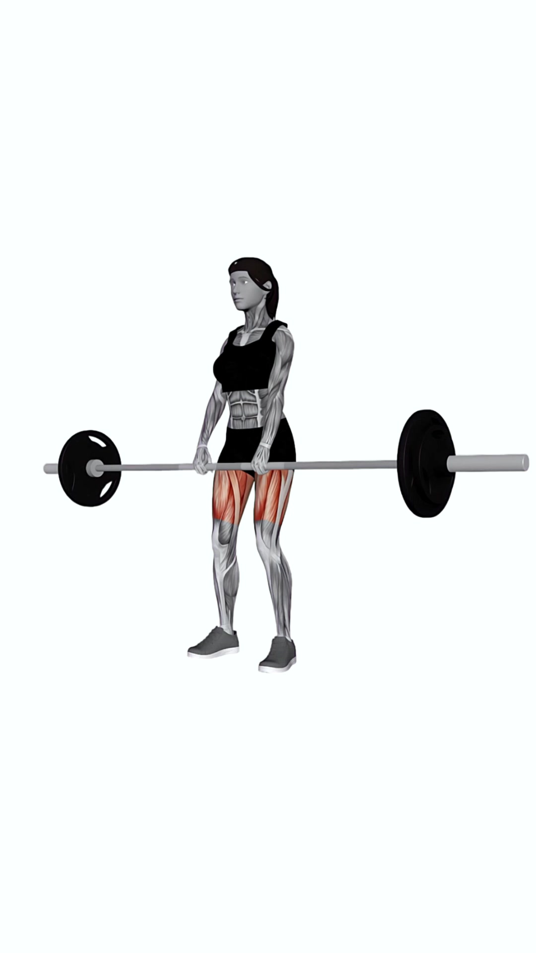 Barbell Deadlift