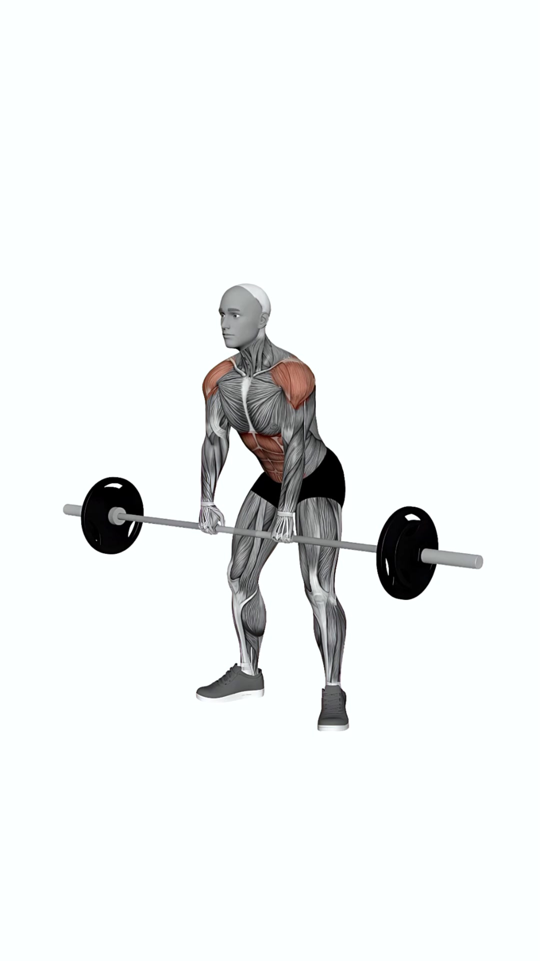 Barbell Hang Clean