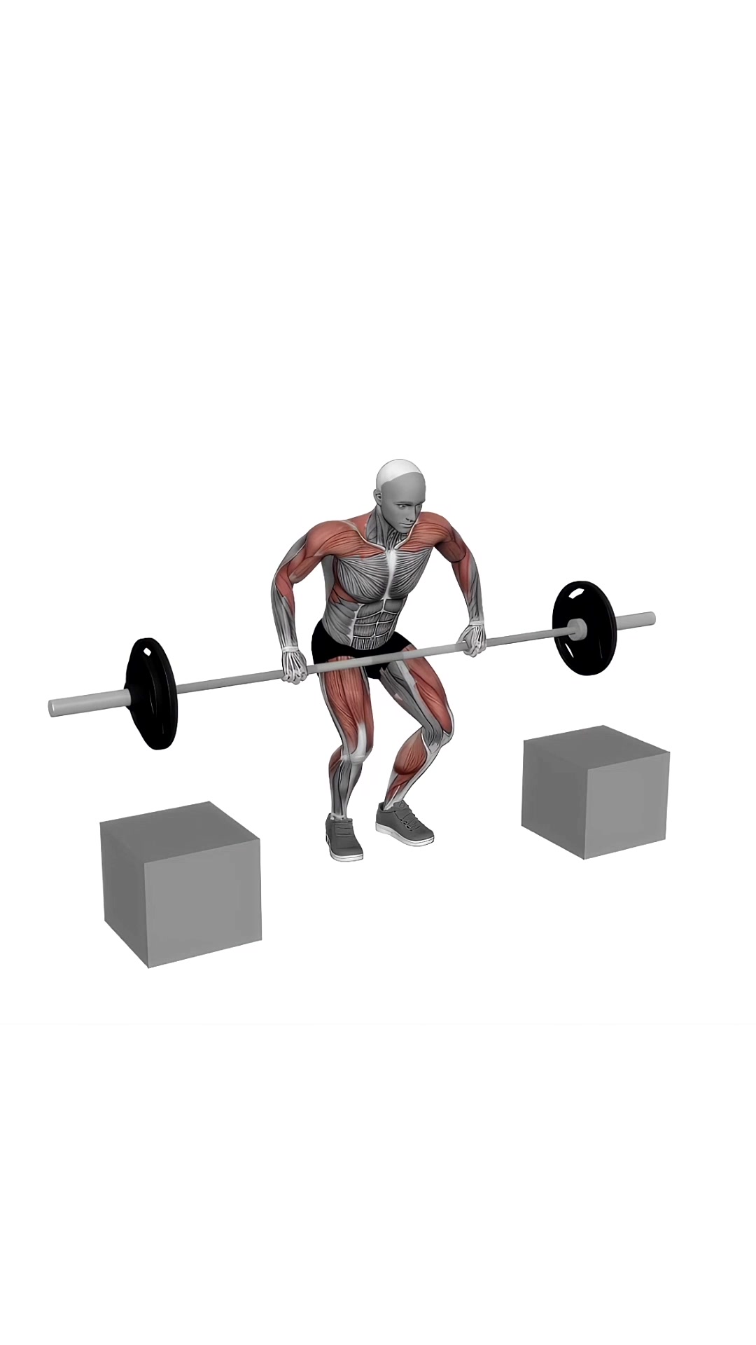 Barbell Power Clean From Blocks