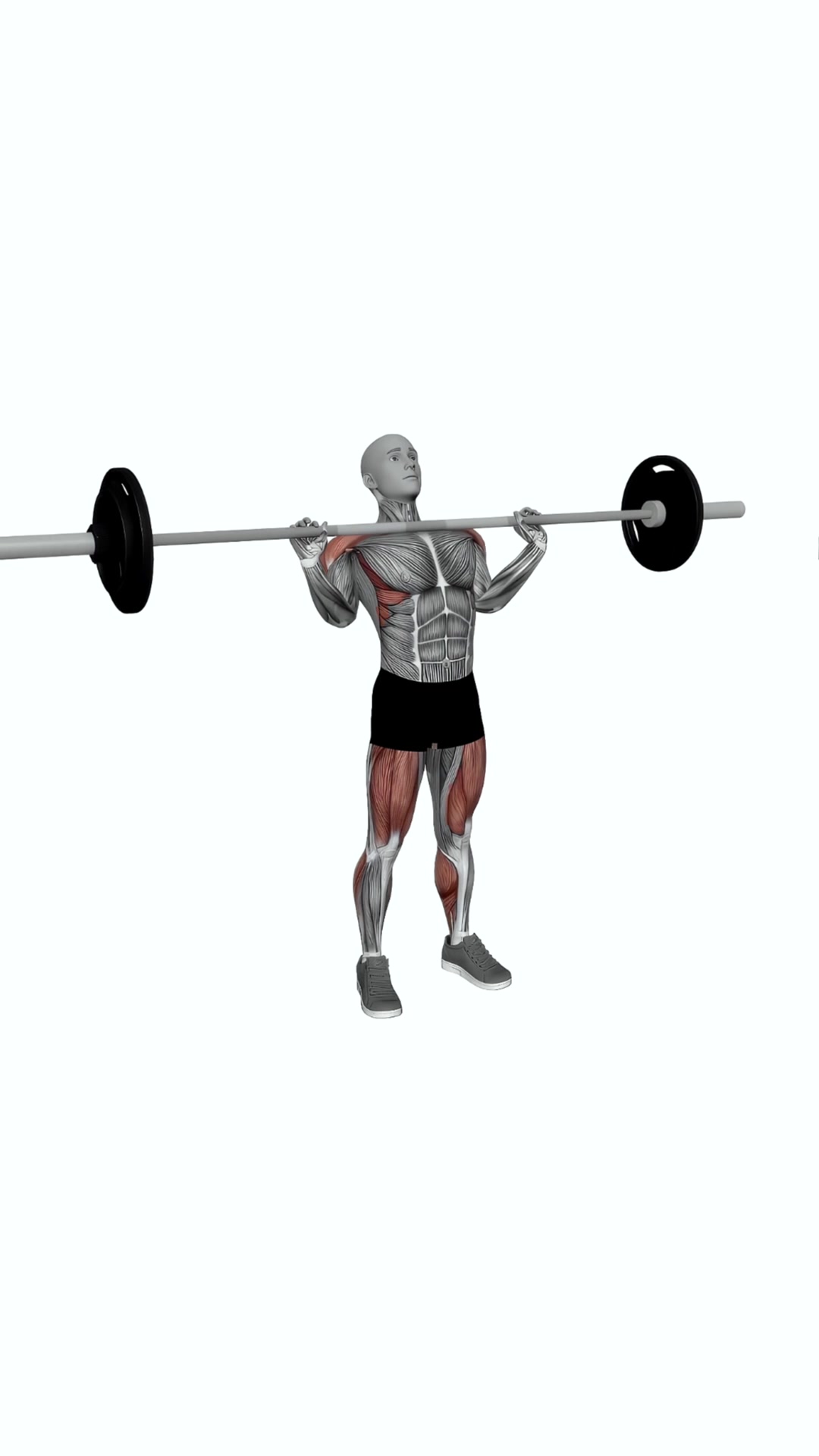 Barbell Power Clean