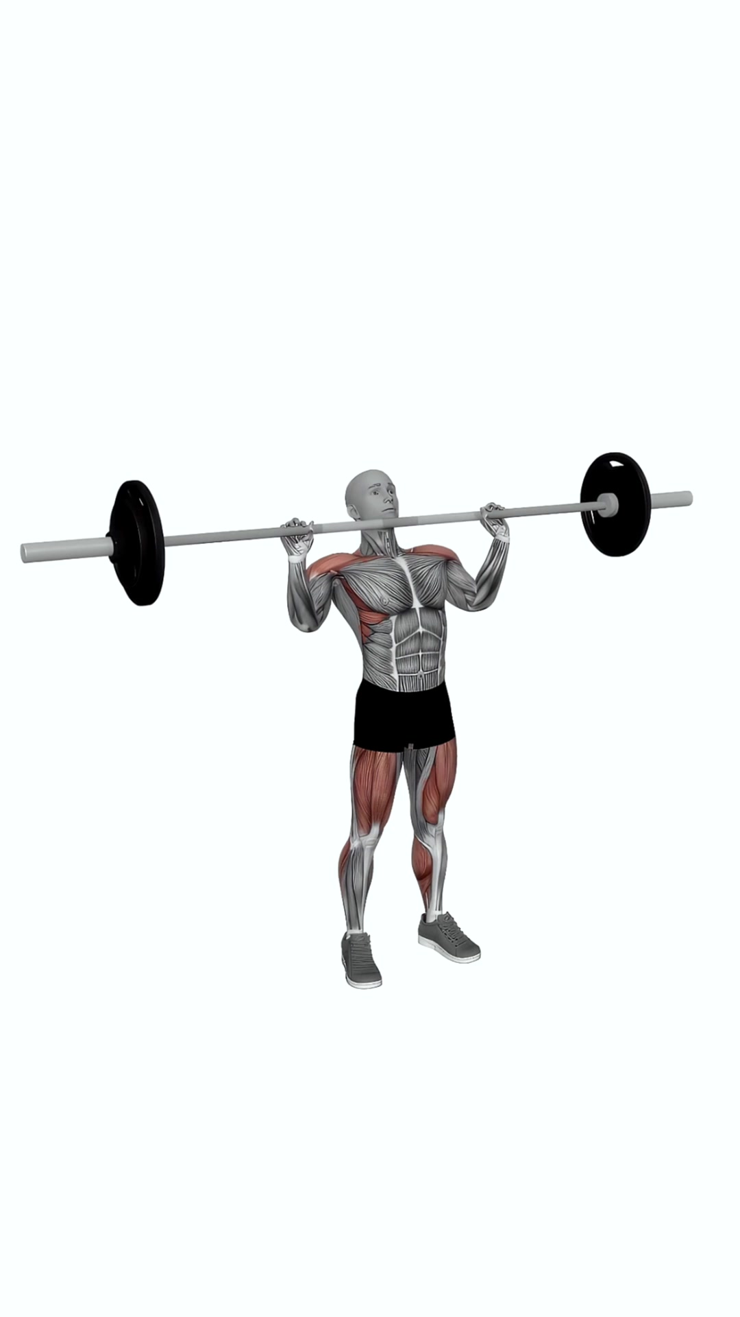 Barbell Power Jerk