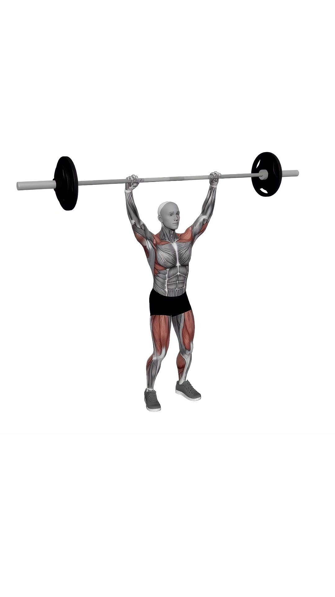 Barbell Power Snatch