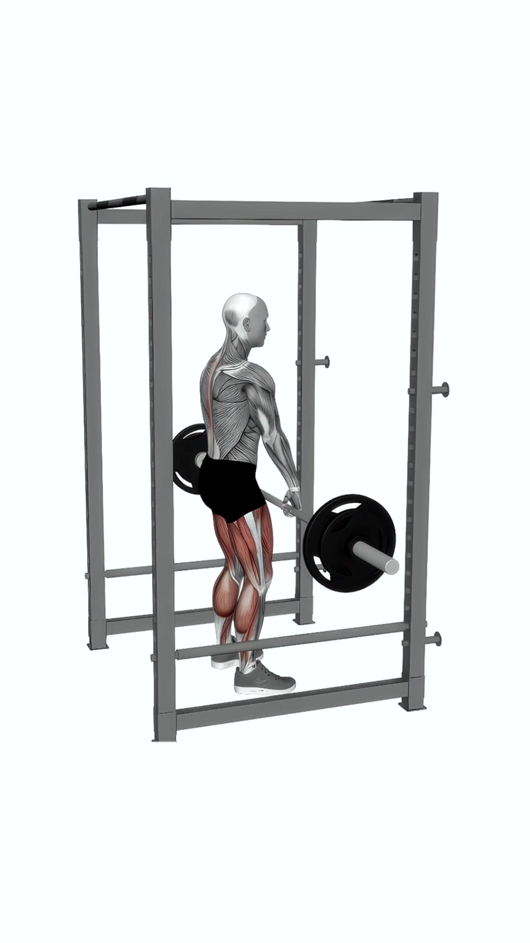 Barbell Rack Pull