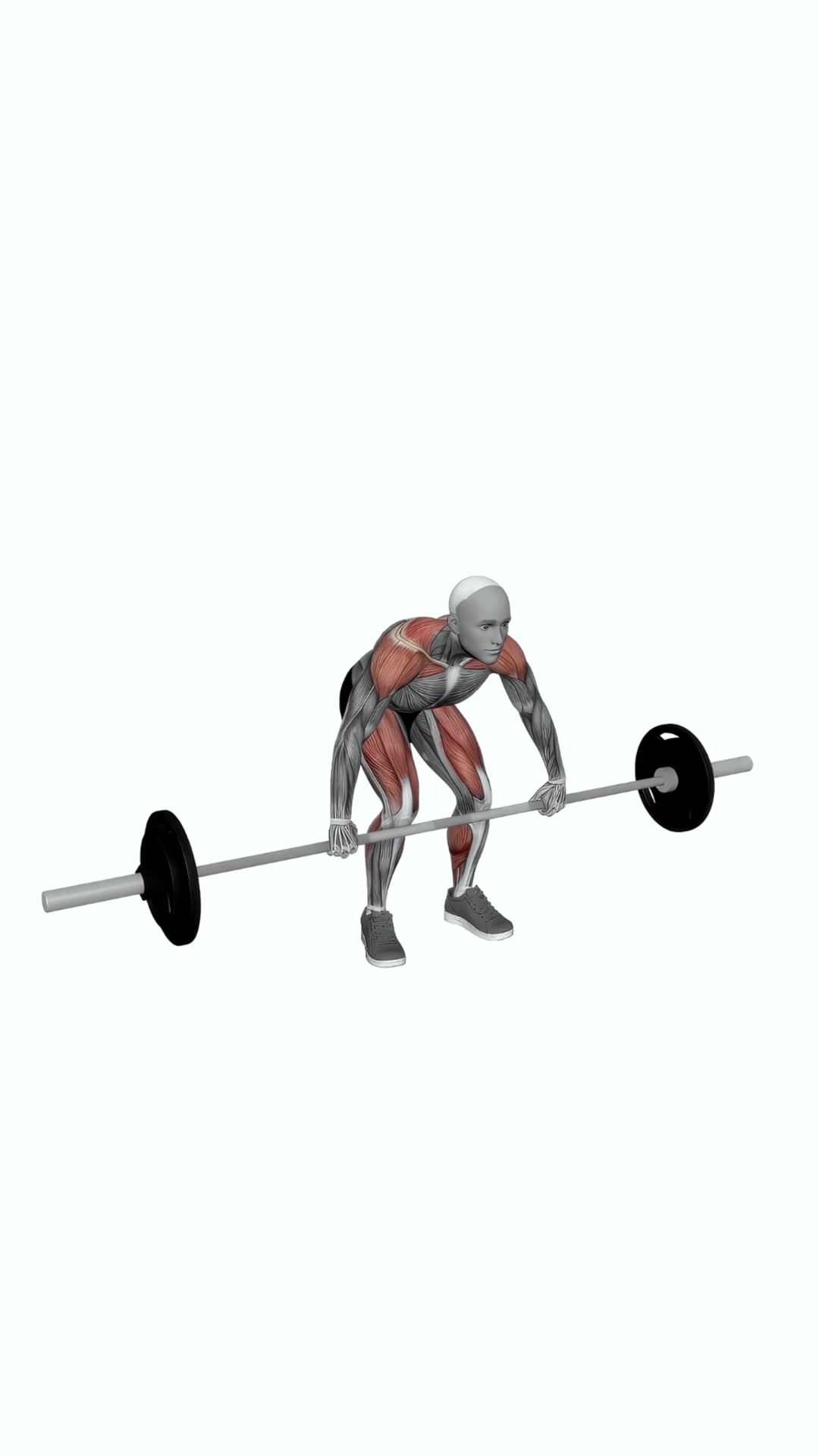 Barbell Snatch Pull