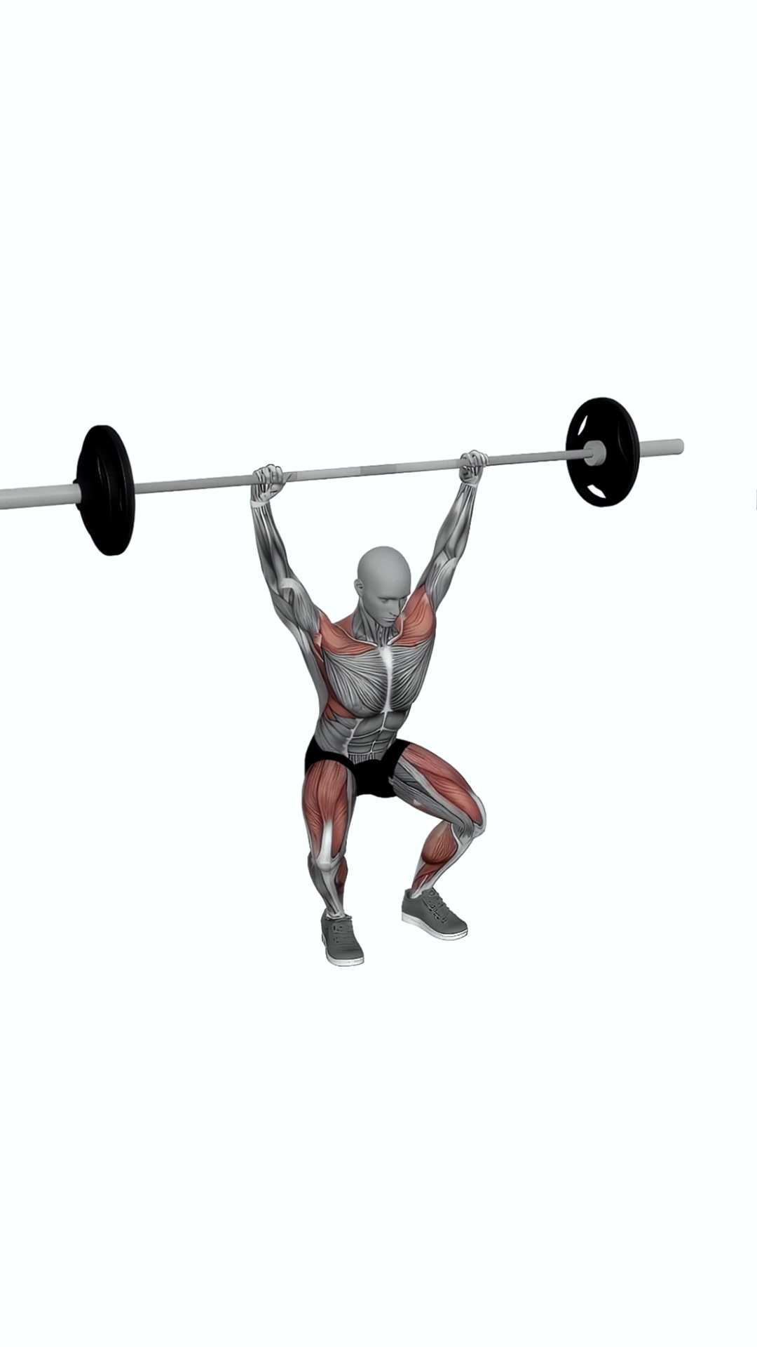 Barbell Snatch