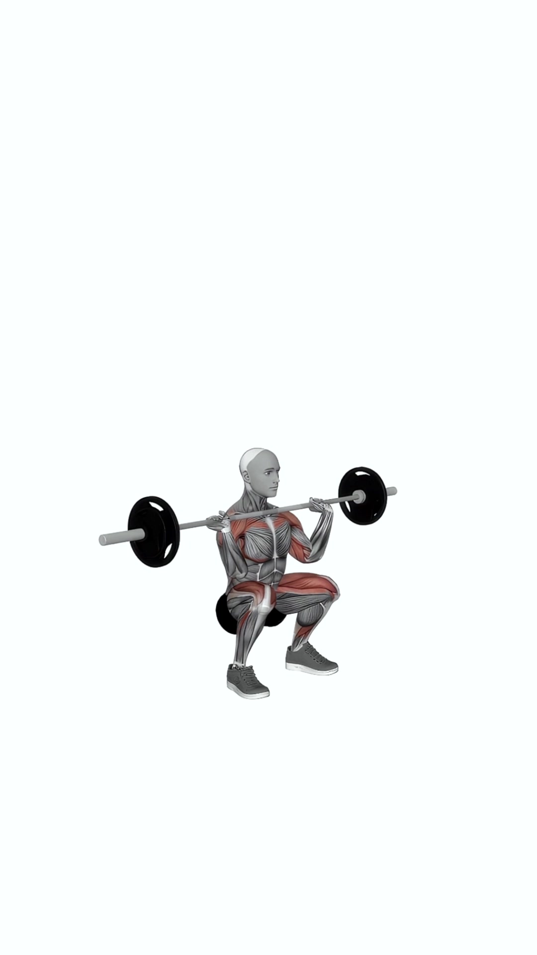 Barbell Thruster