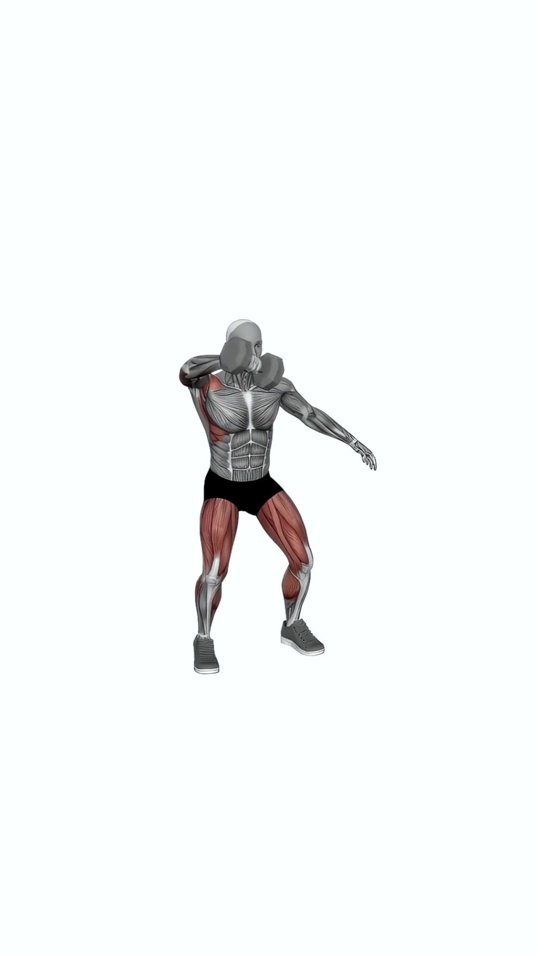 Dumbbell One Arm Snatch