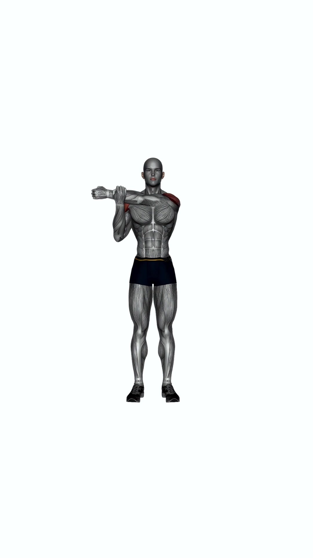 Across Chest Shoulder Stretch