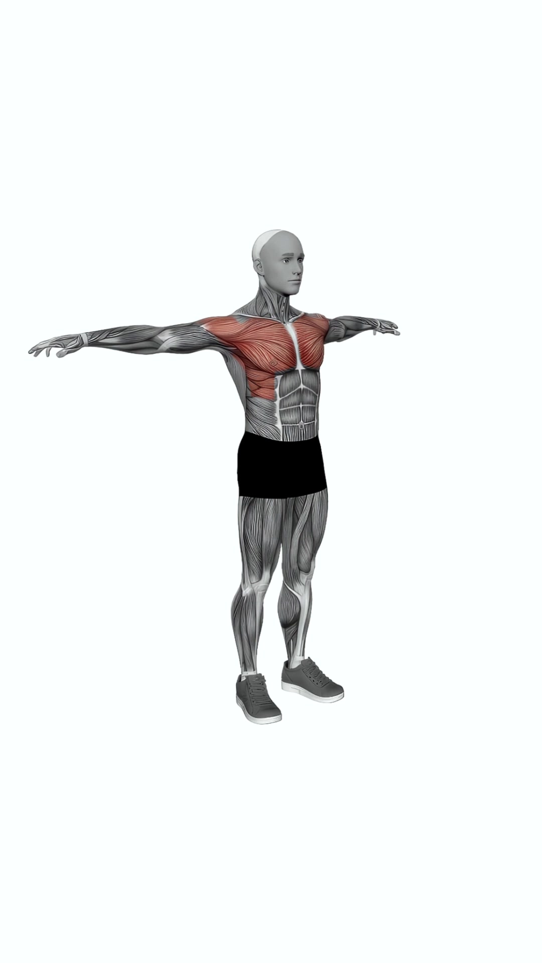 Arm Circles Backward