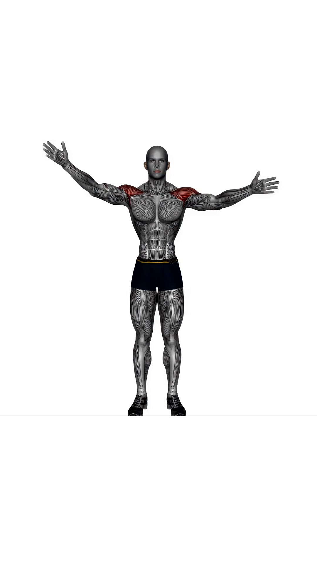 Arm Swing Side To Side